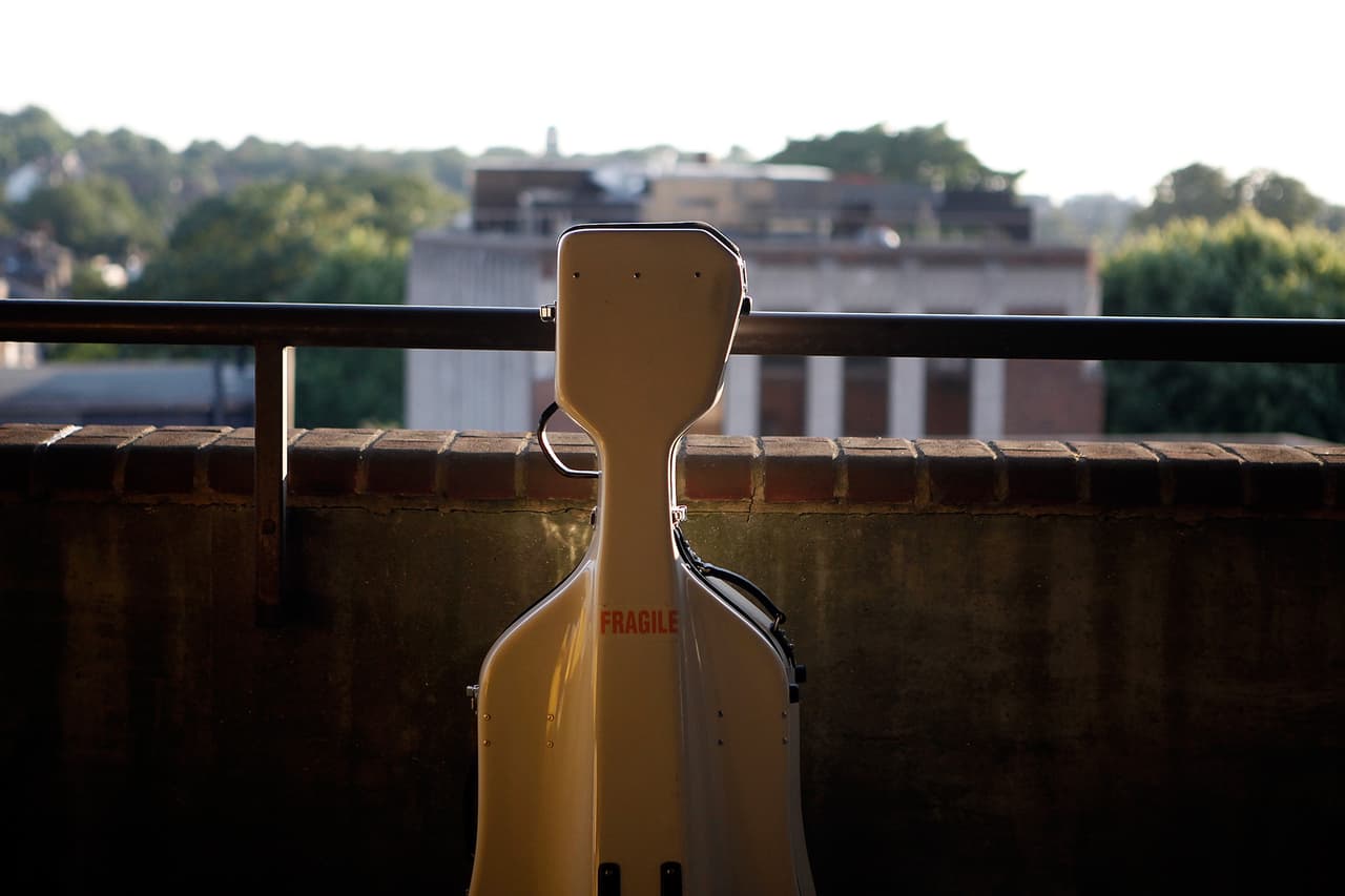 Violonchelo en su estuche.