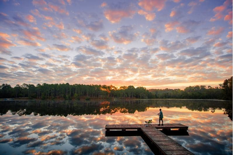 <b>DISFRUTA DE LOS LAGOS Y RÍOS</b>. El denominado Lake Country de Georgia cuenta con varios lagos, incluidos Oconee y Sinclair. Más cerca de Atlanta, Allatoona y Lanier dan la bienvenida a navegantes y pescadores. También vale la pena explorar los lagos Burton, Rabun, Hartwell y Blackshear. Para hacer rafting en rápidos de alto octanaje, visita los rápidos artificiales en Columbus. Clayton también tiene algo de rafting para principiantes. El río Chattahoochee se extiende desde el norte del estado hasta sur con oportunidades para la recreación en el camino, que incluyen viajes en tubos cerca de Helen y Atlanta, así como kayak y remo.