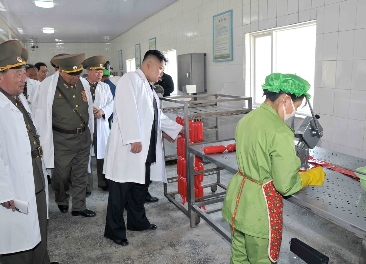 <b>La mirada experta. </b> Kim Jong-Un inspecciona una granja de cerdos del ejercito en un lugar no identificado de Corea del norte el 3 de junio de 2013. Se educó en Berna, Suiza y habla inglés y alemán. El 29 de diciembre de 2011, al finalizar las exequias de Kim Jong-il, Kim Yong Nam, Presidente de la Asamblea Suprema del Pueblo, confirmó a Kim Jong-un como líder supremo de la nación mediante un discurso en la Gran Plaza de Pionyang. Desde el 2009 se dio por sentado entre los servicios diplomáticos que sucedería a su padre como jefe del Partido del Trabajo de Corea y, por tanto, como jefe del Estado.