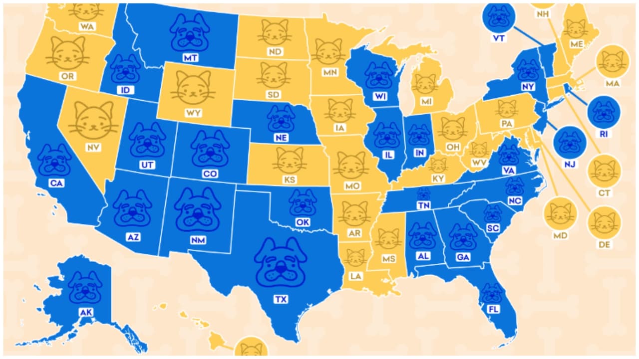 El estudio reveló que el 56.8% de los estadounidenses son amantes de los perros y el 43.2% prefieren a los gatos.