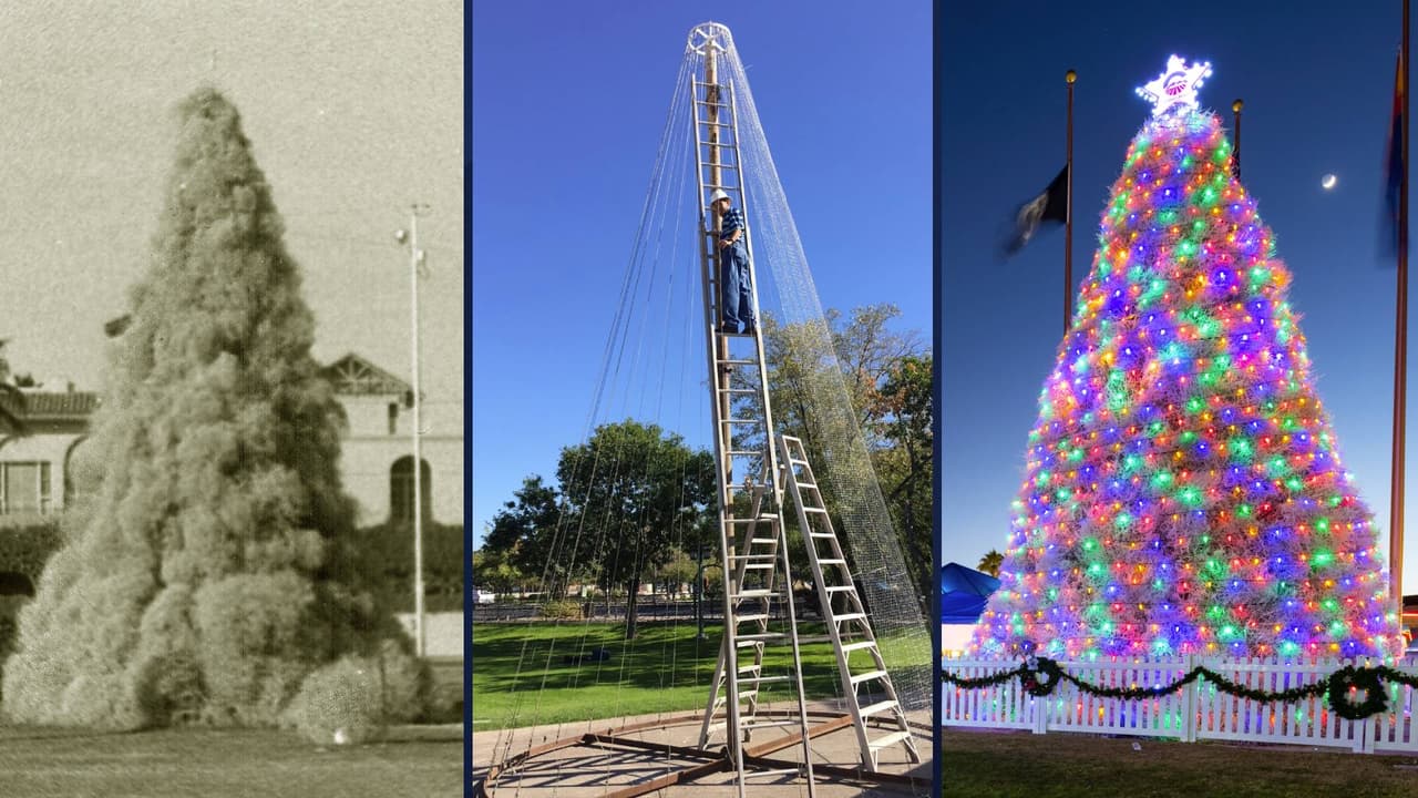 “Ahora en su 65º año, el árbol sigue siendo la pieza central estacional de la Ciudad, lo que refleja el ingenio y la singularidad de sus residentes”, se lee en un 
<a href="https://www.chandleraz.gov/news-center/chandler-holiday-tradition-tumbleweed-tree-lighting-parade-lights-returns-saturday-dec" target="_blank">comunicado de la ciudad de Chandler</a>.