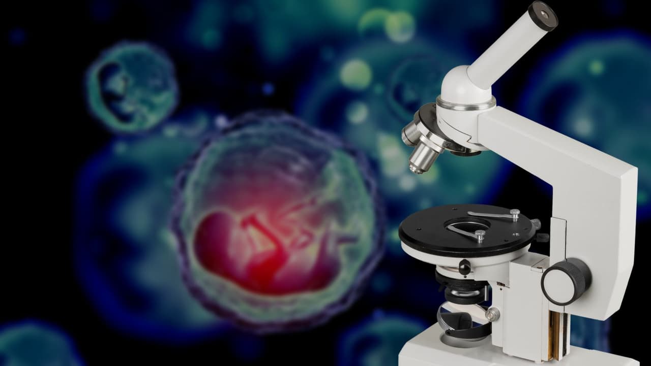 Legisladores republicanos apuntan a la investigación fetal de universidades en un proyecto de ley