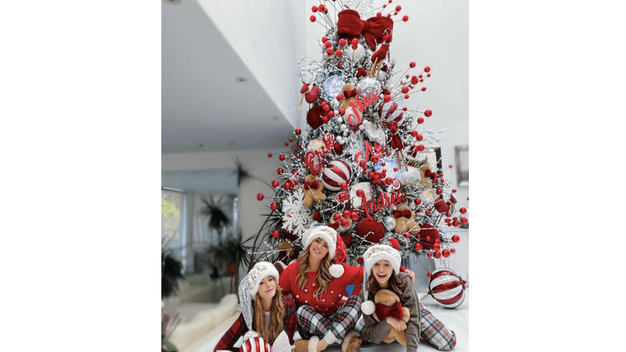 La actual época navideña la hace reflexionar sobre lo que ella considera es lo importante, por encima de las excentricidades y obsequios. 
<br>