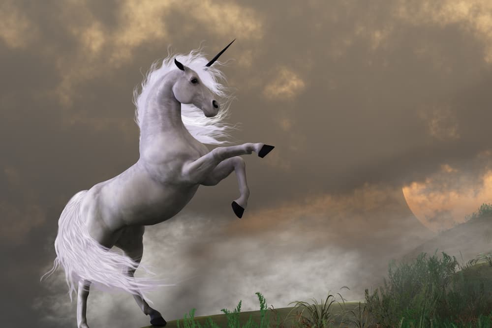 En China creían que la presencia de un unicornio era un símbolo de buenaventura y felicidad, y en las ocasiones que se le aparecía a los emperadores, indicaba que su reinado seria largo y pacífico. Si por ejemplo una mujer embarazada lo veía, significaba que el niño por nacer sería muy importante.