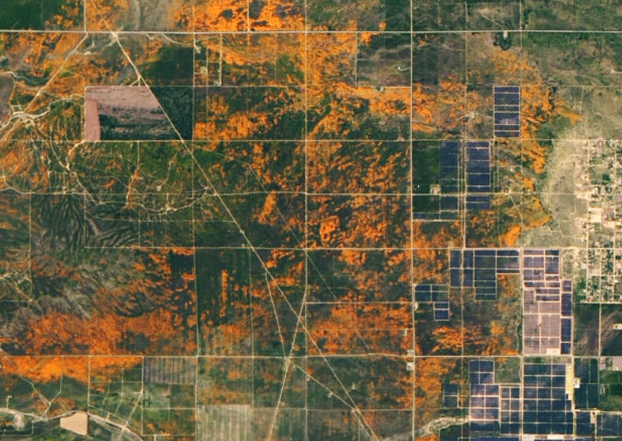 Según NASA estas imágenes corresponden al momento de mayor apogeo de las flores en la reserva este año. Los funcionarios del parque catalogaron a esta masiva floración como una sorpresa "inesperada".