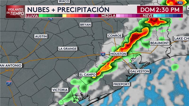 <b>¿A qué hora se esperan las tormentas?</b>
<br>
<br>A las 2:30pm esta será la línea de tormentas severas que pasará por el área de Houston. Traerá fuertes lluvias hasta las 6:00pm que se alejará hacia el Golfo de México. Luego, las temperaturas comenzarán a bajar para dar entrada a una masa de aire ártico.