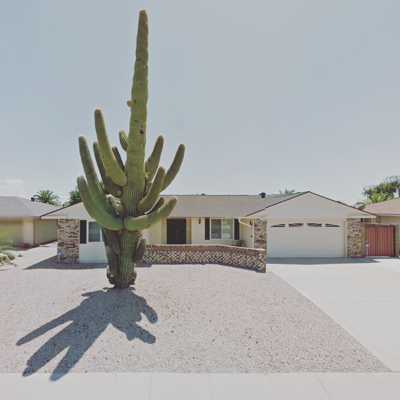 No puedo recordar exactamente cúando empecé a pasar horas interminables en frente del Google Street View pero me fui topando con cosas divertidas, perros que salían de las esquinas, cosas extrañas como cactus gigantes como este de Sun City, Arizona, y decidí que valía la pena indagar más profundamente.