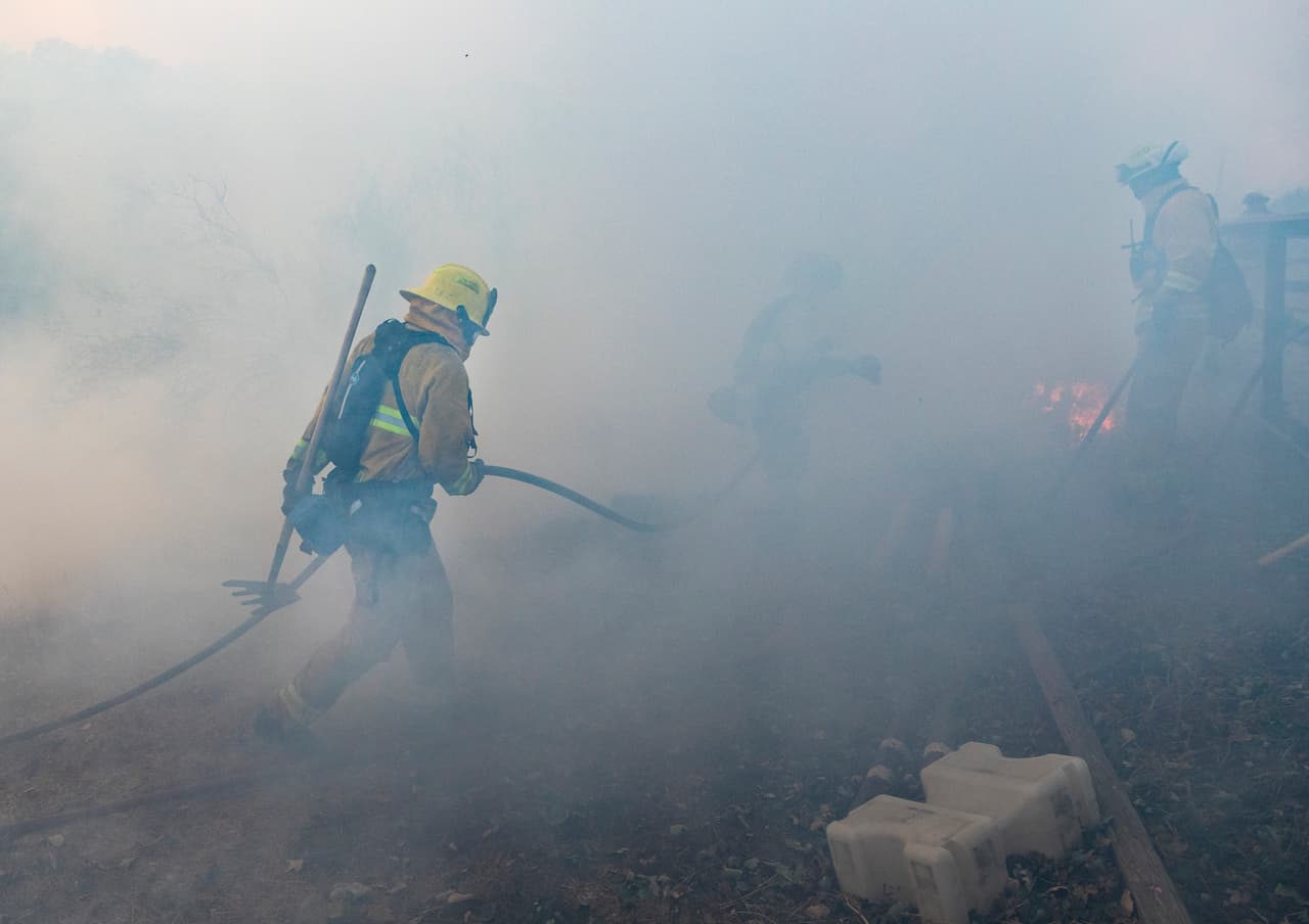 <b>Reyes Fer-mina: </b> "Que Dios les bendiga siempre abundantemente por esa gran Labor y dedicación al salvar vidas humanas, vida animal y vida de Naturaleza y que la virgen María siempre los cubra con su Santo Manto🙏"
