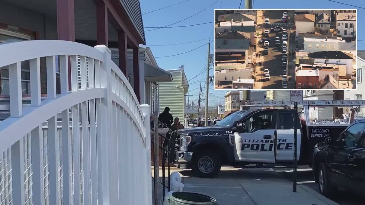 Pelean pitbulls en casa de Nueva Jersey; 3 mujeres resultan con mordidas al intentar separarlos