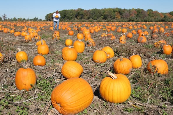<b> Bulverde United Methodist Church </b>| 28300 US-281, San Antonio, TX 78260, EE. UU.