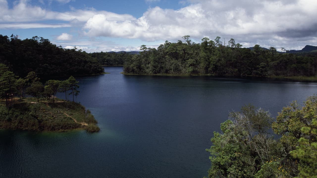 El Parque Nacional Lagunas de Montebello es uno de las más importantes de Chiapas, México. Área protegida y una de las más importantes para el turismo en México, abarca los municipios de Trinitaria e Independencia.