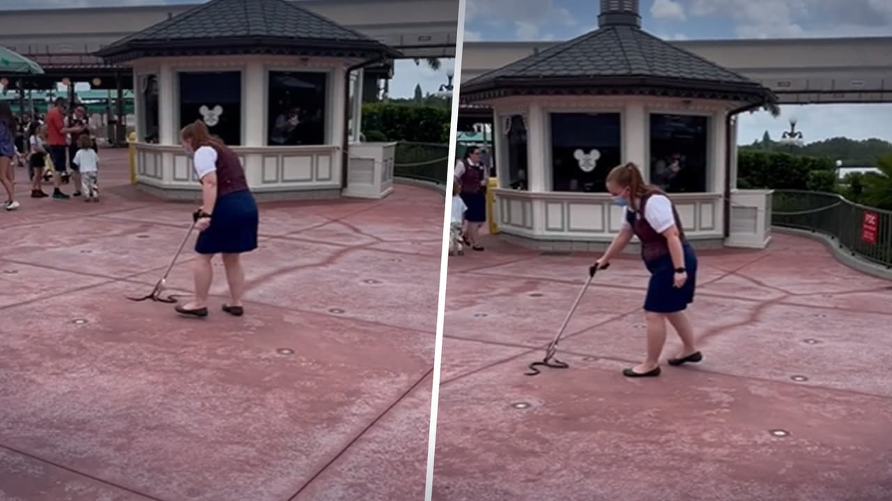 Trabajadora de Disney saca a una serpiente del parque en Orlando entre sorprendidos visitantes