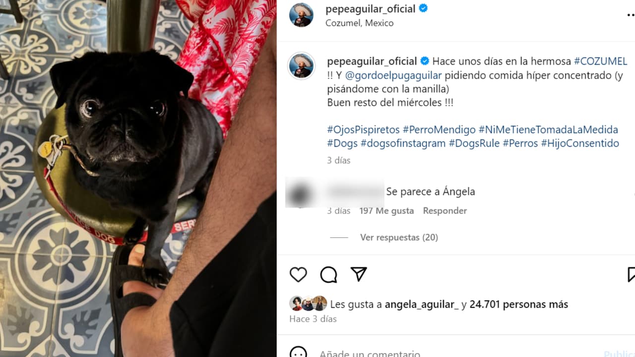 Esta es la foto que Pepe Aguilar publicó en Instagram con su perro 'El Gordo', quien suele viajar con el cantante y disfrutar de las amenidades que goza el artista.