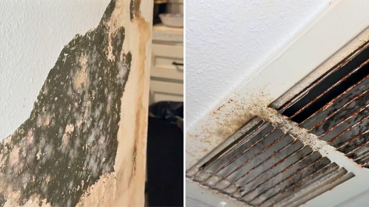 <h3 class="cms-H3-H3">¿Qué hacer en caso de enfrentar una situación similar?</h3>
<br>Si te encuentras en una situación parecida, es importante seguir estos pasos:
<br>
<b>Documenta todo:</b> Toma fotos y videos de los daños y las condiciones insalubres de tu apartamento.
<br>
<b>Comunica por escrito: </b>Haz las solicitudes de reparación o solución por medio de cartas o correos electrónicos, guardando una copia para ti.
<br>
<b>Consulta con un abogado: </b>Si no obtienes respuesta o las reparaciones no se realizan, busca asesoría legal para saber cuáles son tus derechos.
<br>
<b>Revisa tu contrato:</b> Asegúrate de entender las condiciones de tu arrendamiento y qué medidas se pueden tomar en caso de que el propietario no cumpla con sus obligaciones.
<br>
<b>Solicita compensación:</b> Si las condiciones son insostenibles, pide una reubicación o, si es necesario, alojamiento temporal.