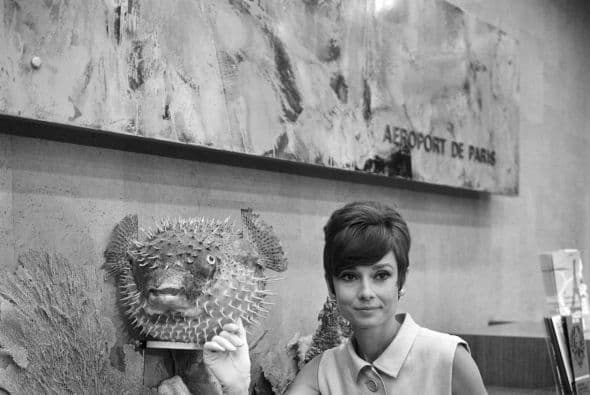 En 1948 viajó desde Amsterdam hasta Londres para cursar una beca de ballet.