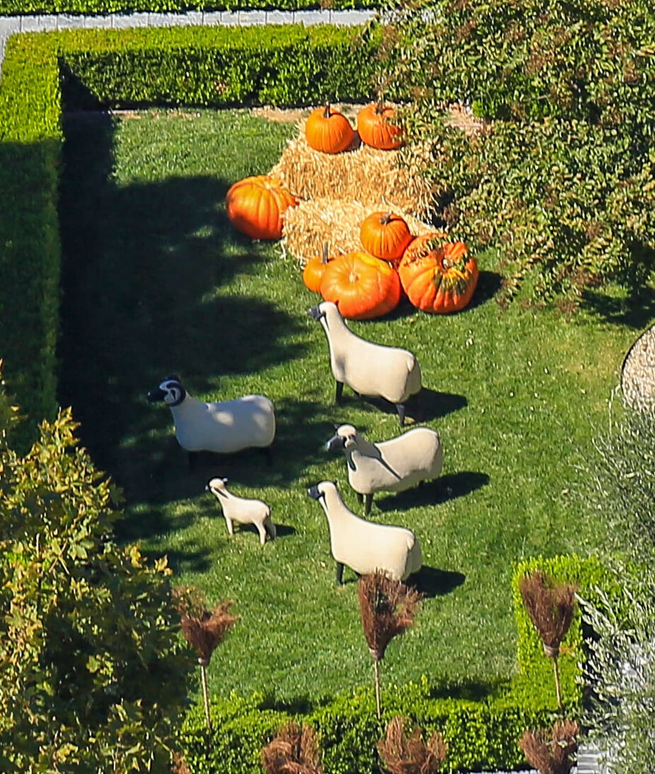 También se pueden ver grandes calabazas resguardadas por algunas réplicas de ovejas de gran tamaño. 
<br>