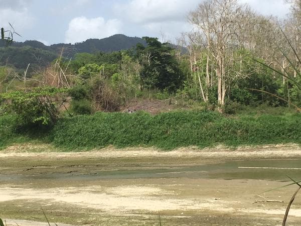 Escasez de lluvia desde hace dos años ha agudizado la sequía