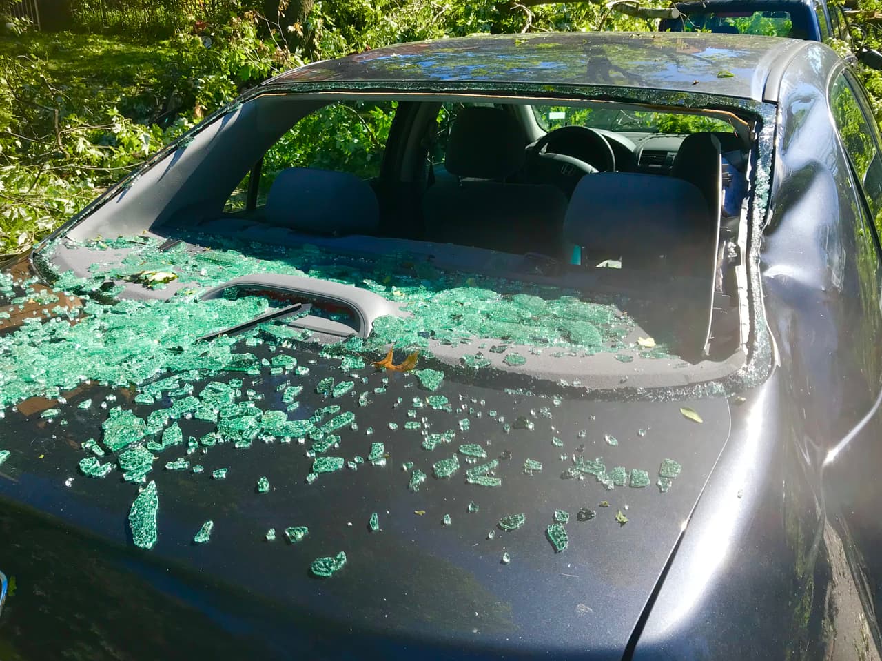 La empresa de energía ComEd dijo que los suburbios del sur fueron los más afectados. Los clientes deben tomar las medidas que consideren necesarias para mantenerse a sí mismos y a sus familias a salvo.