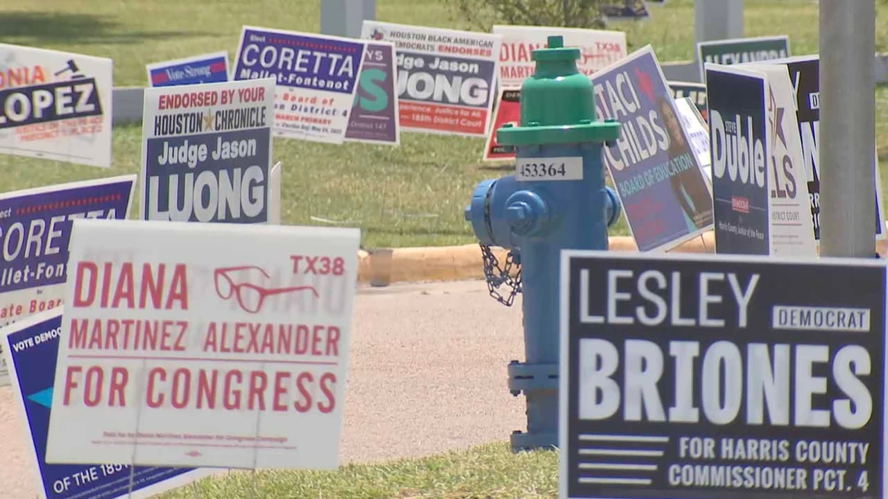 A nivel estatal, incluyen vicegobernador, fiscal general, entre otros; y a nivel local, hay nominaciones de jueces del condado.