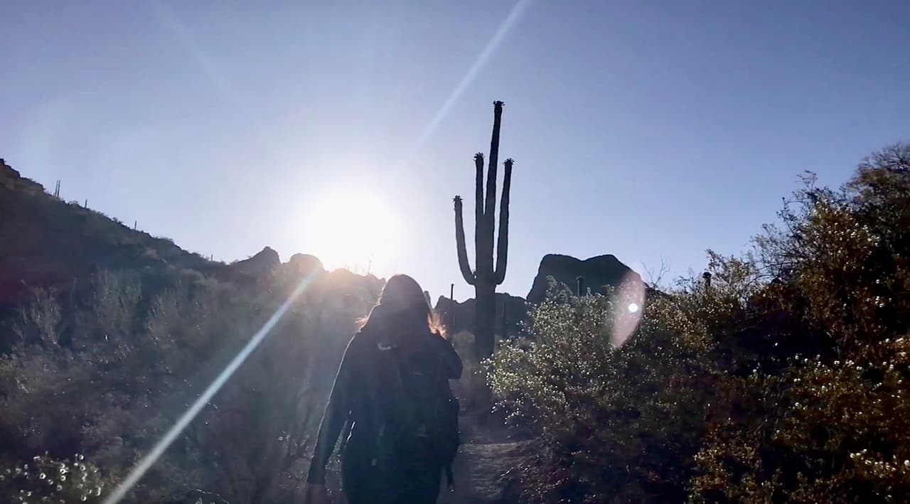 “Tenemos una variedad de senderos que van desde el muy fácil de solo 0.2 millas que es una caminata familiar. Tenemos el sendero moderado llamado Calloway de 1.5 millas y lleva a un mirador. Luego tenemos los senderos que llegan hasta la cima y son difíciles. Toma alrededor de 4 horas ida y vuelta. No los recomendamos en el verano, pero si lo quieren hacer, hay que arrancar muy temprano”, dijo Carolin Miller, guardabosques de Picacho.