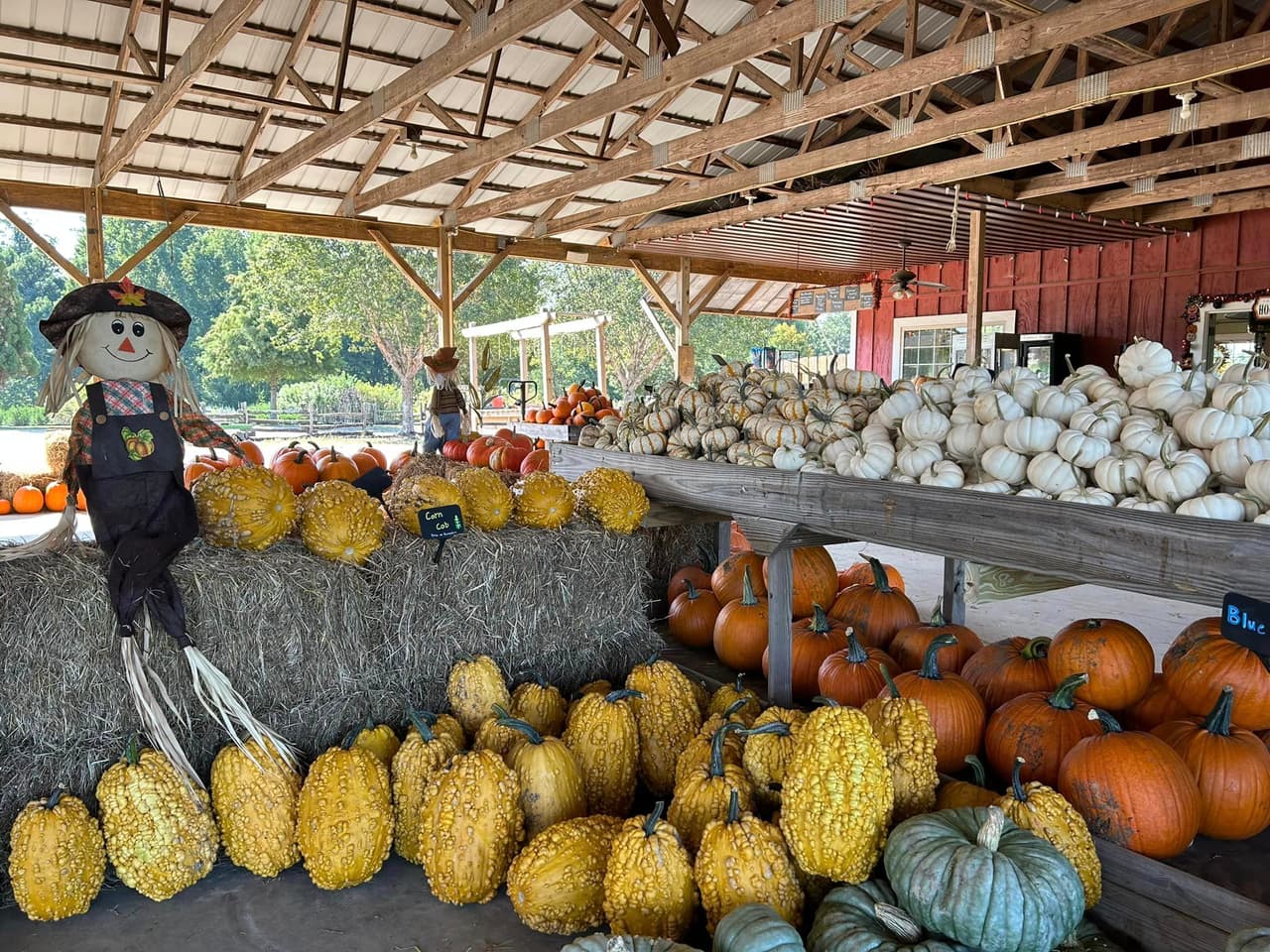 <b>Kinsey Family Farm (Gainesville) </b>
<br>
<b>Sitio web</b>: 
<a href="https://www.kinseyfamilyfarm.com/">https://www.kinseyfamilyfarm.com/</a> 
<br>
<b><a href="https://maps.app.goo.gl/Neooj73h11n1u8gn7">Cómo llegar</a> </b>
<br>
<br>Kinsey Family Farm es mejor conocida como una de las granjas de árboles de Navidad más grandes de Georgia, pero sus eventos Fall Harvest hacen de esta granja un lugar de visita obligada en el otoño.