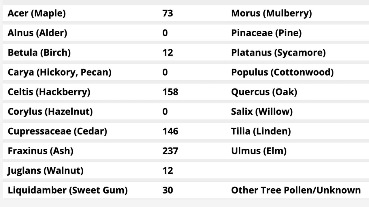 La página de internet de la dependencia municipal también te dice cuáles son los árboles que producen más polen en Houston.