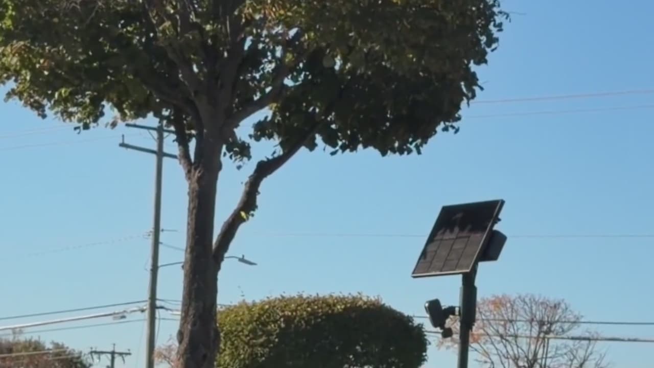 Debate en Fairfax por el uso de cámaras de vigilancia e inteligencia artificial