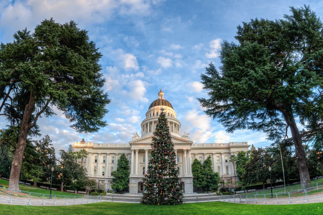 Las mejores granjas para cortar tu árbol de Navidad en Sacramento