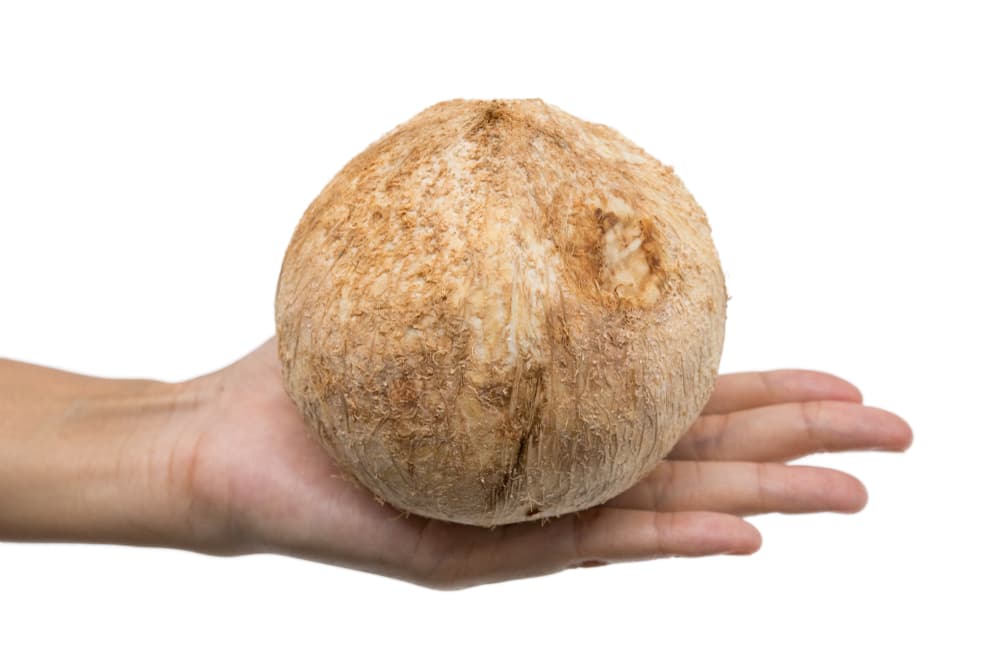 Ahora, como toque final, mete el papel con el nombre de tu pareja, cuidadosamente, y luego cierra muy bien el coco, con cinta adhesiva.