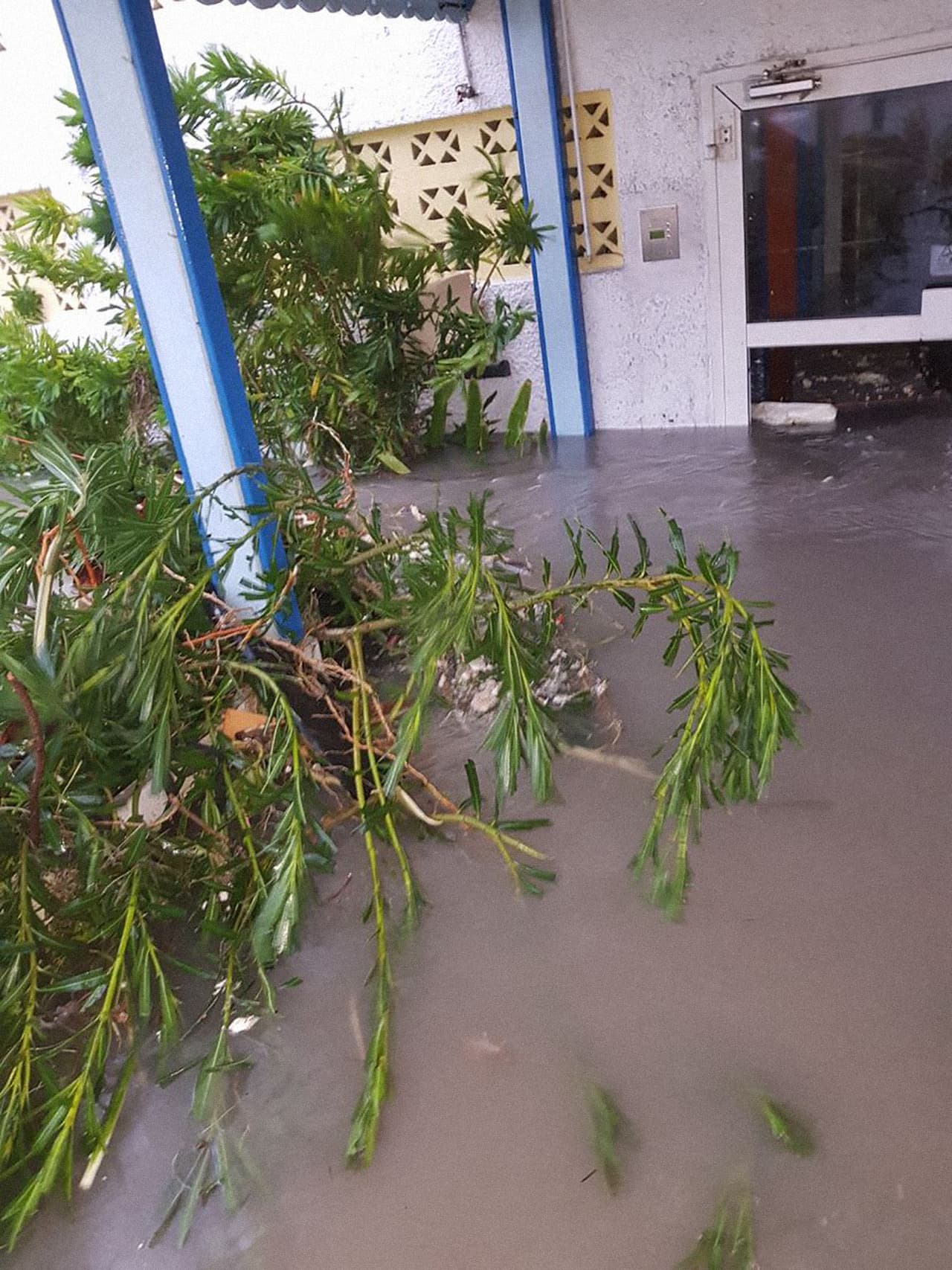 El agua ha entrado en muchas casas debido a la cantidad de lluvia.
