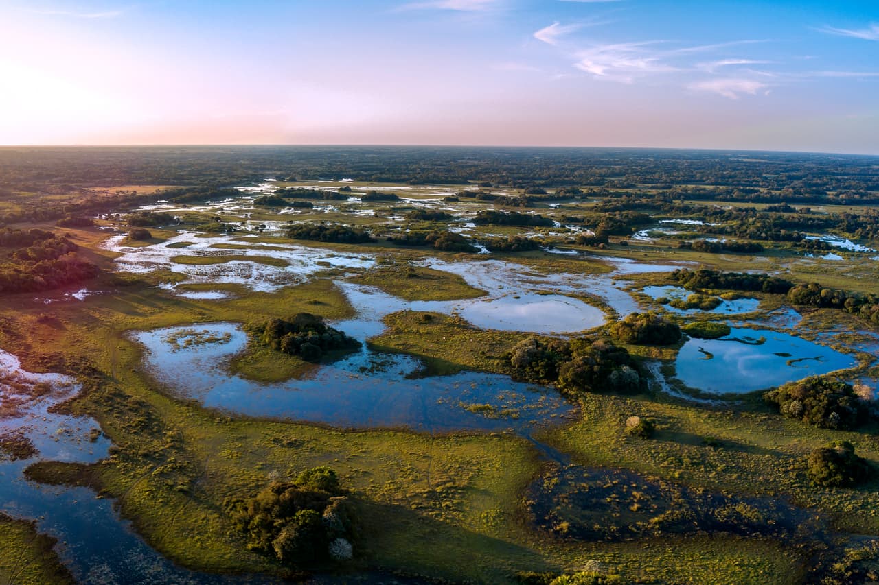 <b>Pantanal (Brasil, Bolivia y Paraguay). </b>Este espacio natural está preparado para ser el próximo gran destino ecológico de América del Sur, aunque ha sido severamente afectado por los incendios de verano en la última década. Es el mejor lugar para ver jaguares y otros animales en estado salvaje. Alberga la mayor concentración de cocodrilos del mundo y otras cientos de especies.