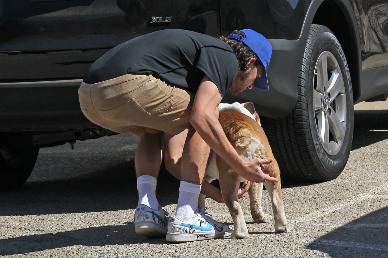 Lo ayudó a subir a su automóvil.