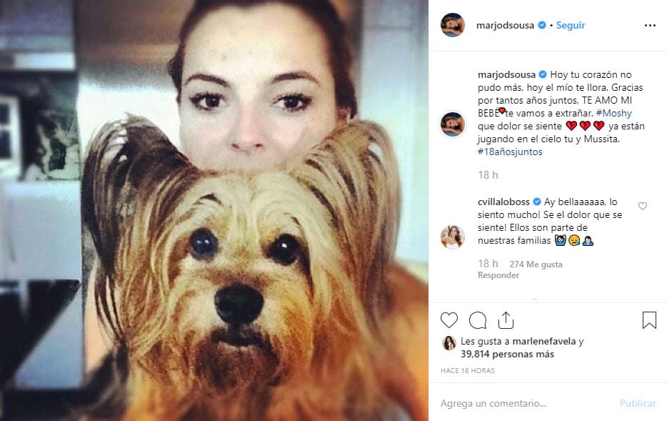 "Hoy tu corazón no pudo más, hoy el mío te llora. Gracias por tantos años juntos, te amo mi bebé, te vamos a extrañar. Moshy que dolor se siente. Ya están jugando en el cielo tú y Mussita. 18 años juntos", se lee.
<br>