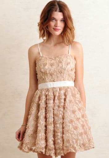 Regal Rose Tulle Dress, 184.99 dólares en Shopruche.com