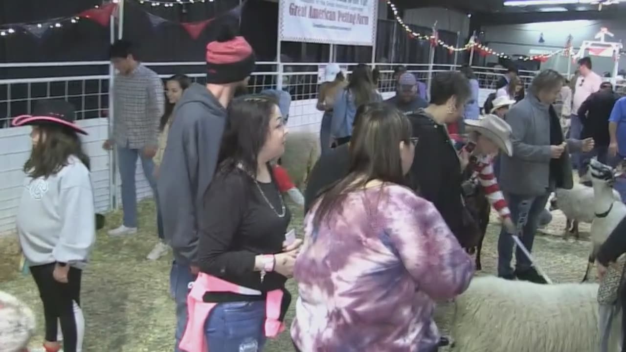 Comunidad celebra el Día de San Valentín en el Rodeo San Antonio