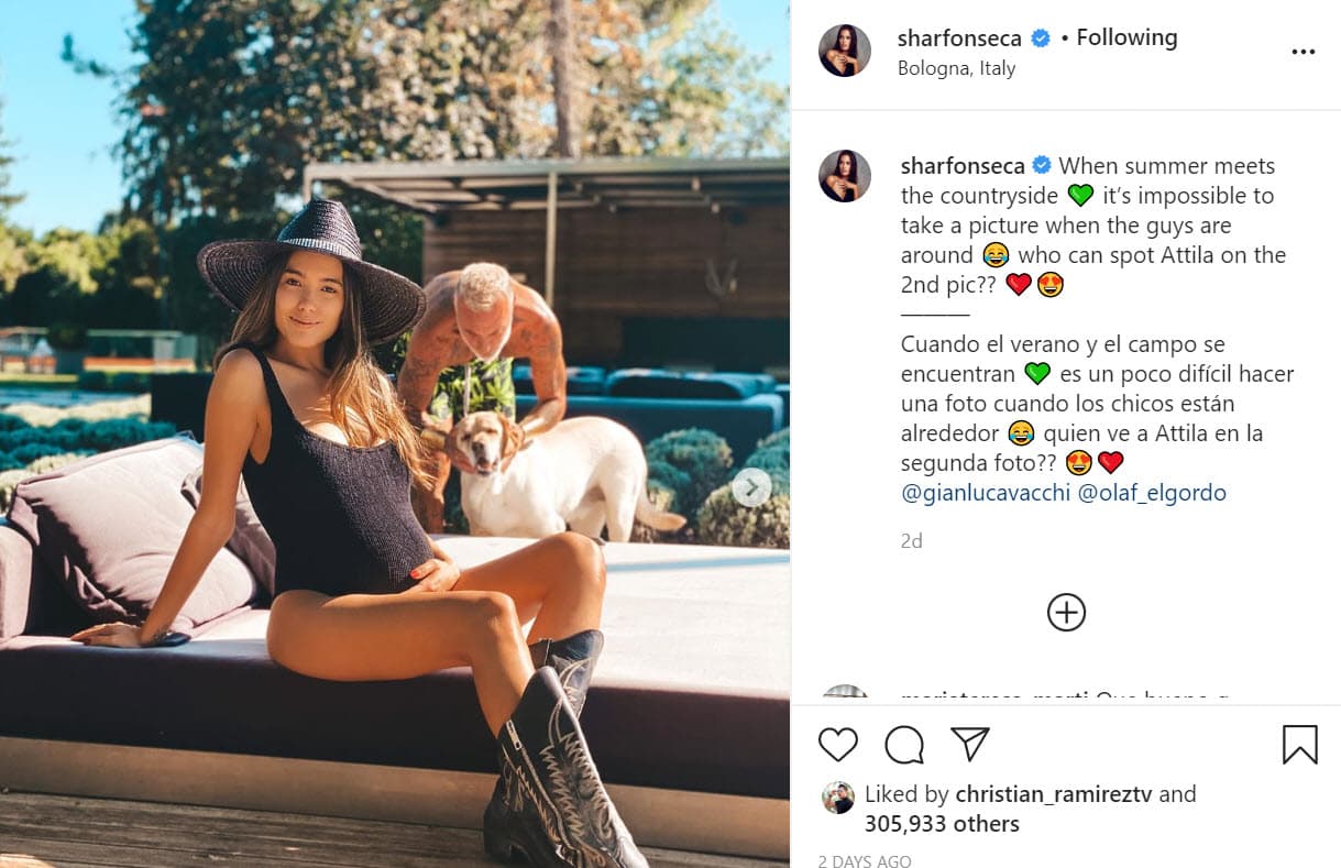 Pero para su mala suerte, fue El Gordo, una de las mascotas de Vacchi, y él quienes le estropearon
<b><a href="https://www.instagram.com/p/CCypFtGgKOy/" target="_blank">esta foto. </a></b>
<br>