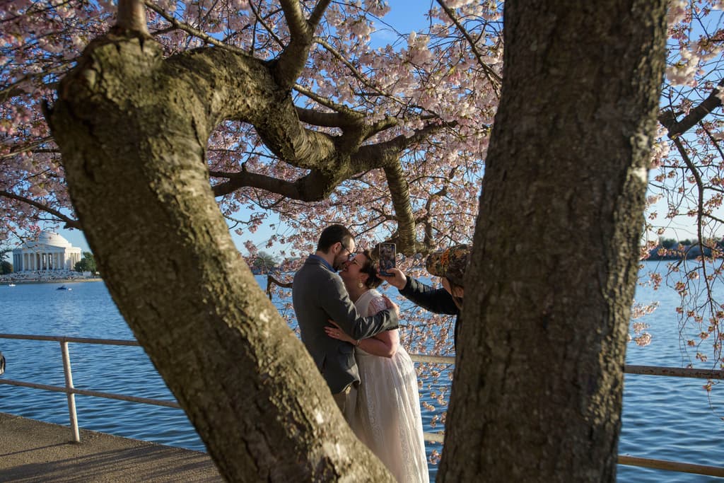 También, Sydney Hamilton y Stephen Dyer se comprometieron en matrimonio entre los 'cherry blossoms' de Washington D.C.