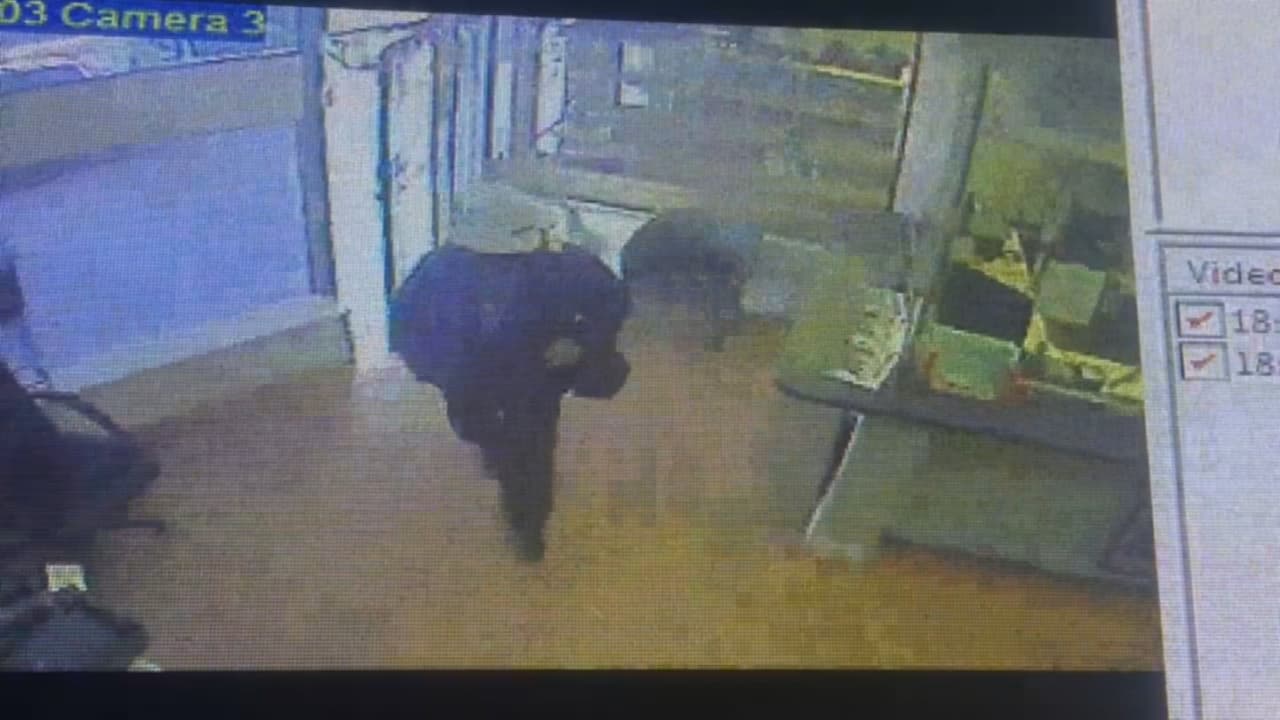 Hombre armado roba joyería de Miami y se lleva joyas por 500,000 dólares