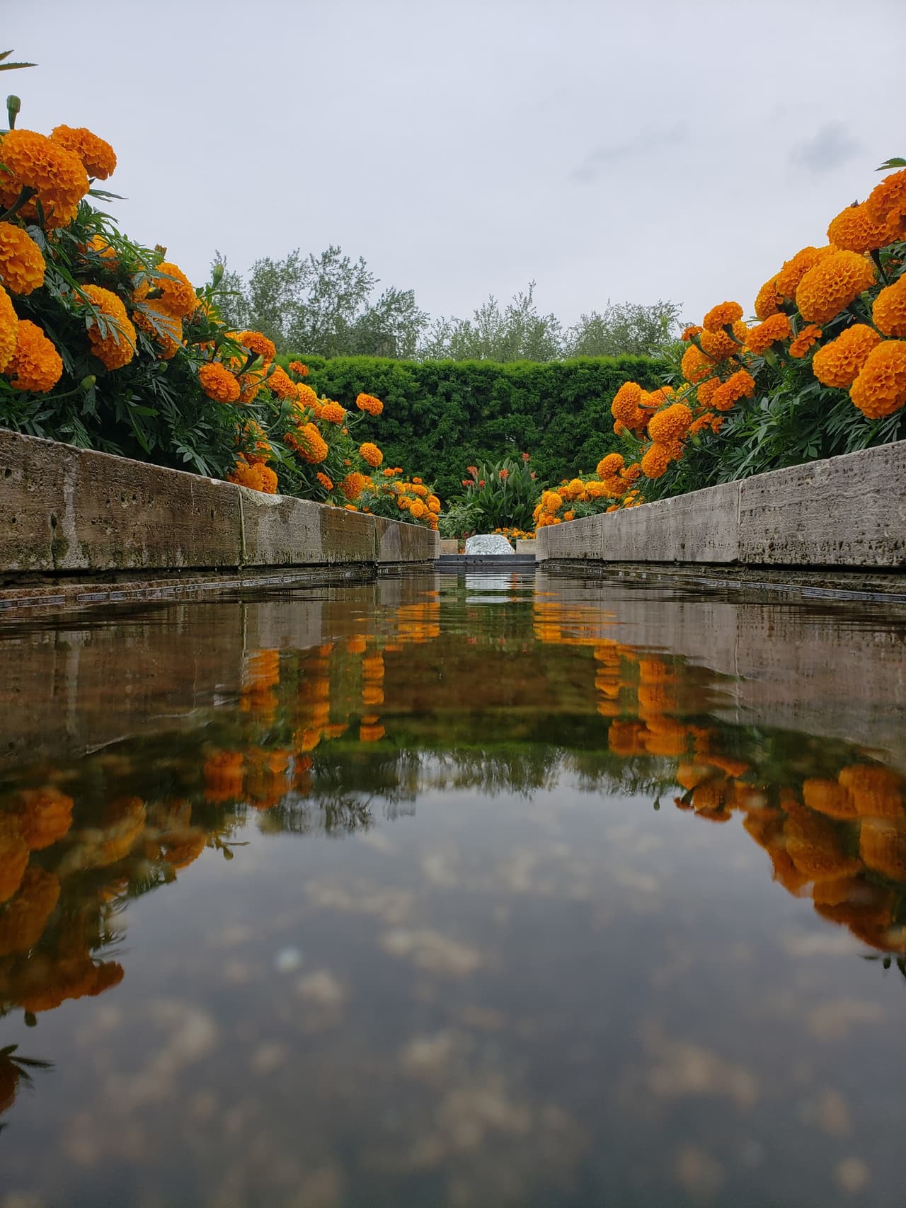 Abierto todo el año para disfrutar de diferentes plantas, flores, cascadas y más.
