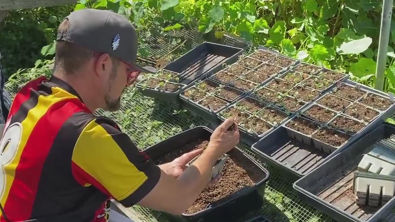 <b>Video.</b> Proyecto sustentable en Santa Cruz ofrece apoyo a personas sin hogar