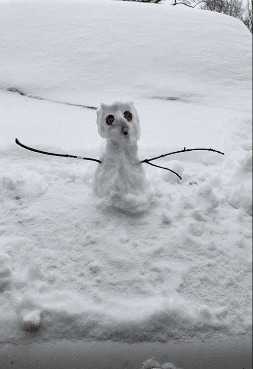 Residentes compartieron fotografías de sus familias mientras compartían durante el periodo de nieve.
