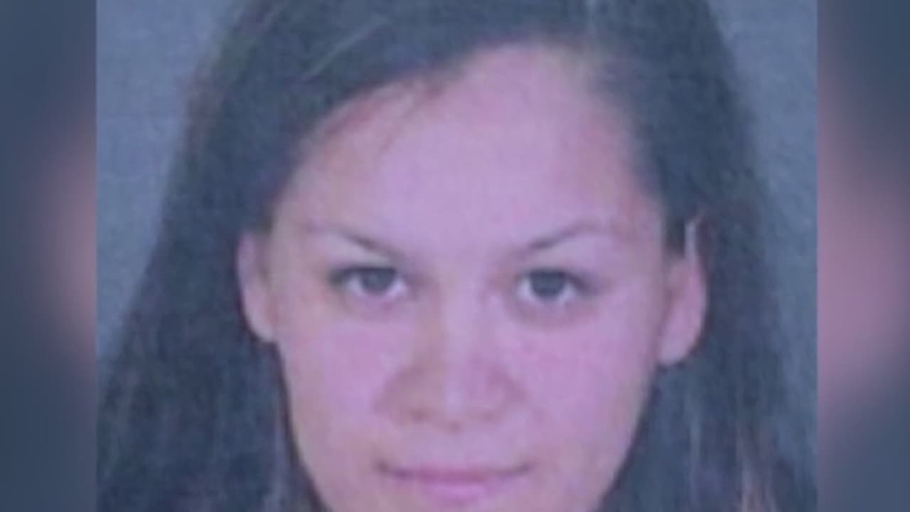 Crisis y alertas: se conocen nuevos detalles del manifiesto de la sospechosa de asesinar a sus tres hijos