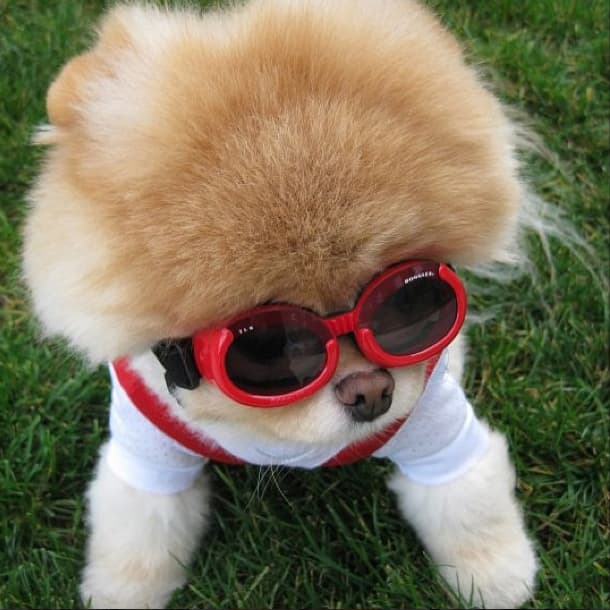 Tomar un poco de sol en el jardín también es divertido.