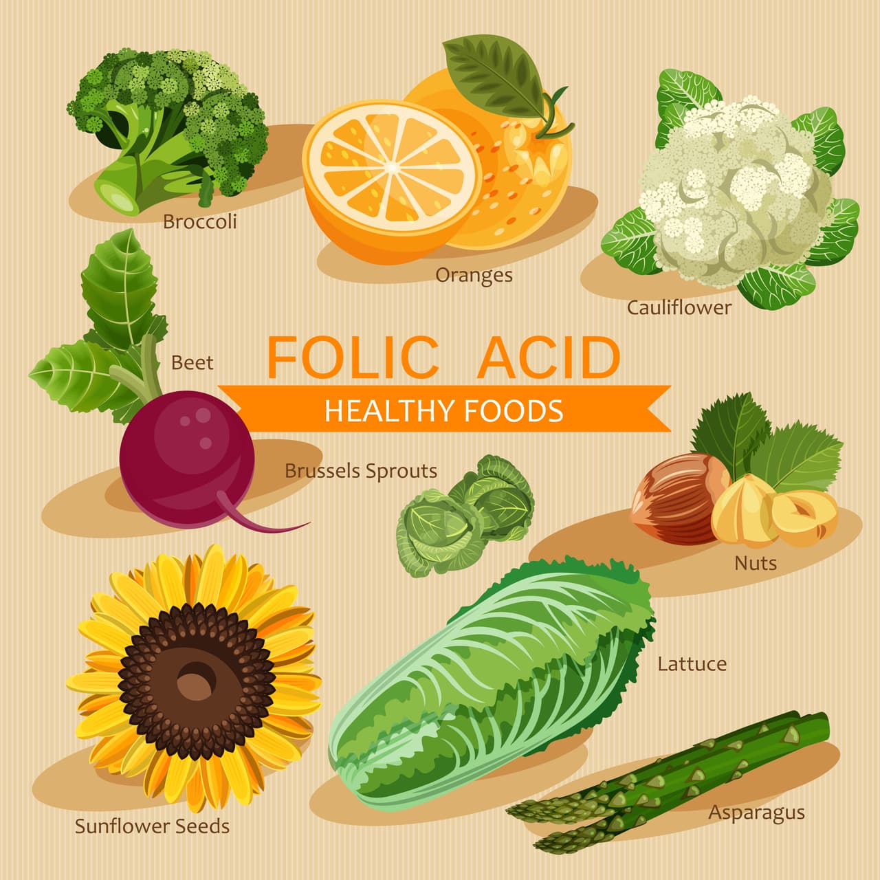 El consumo de ácido fólico en los alimentos puede eliminar trastornos digestivos, mejorar la falta de apetito, la debilidad y la depresión e incluso prevenir algunos tipos de cáncer.