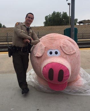 El gran peluche está en perfectas condiciones y ha devuelto la sonrisa a muchos pese al tenso clima de los últimos días en el país. Con las descripción " esta foto vale 1,000 oinks" oficiales posan con la mascota temporal del departamento.