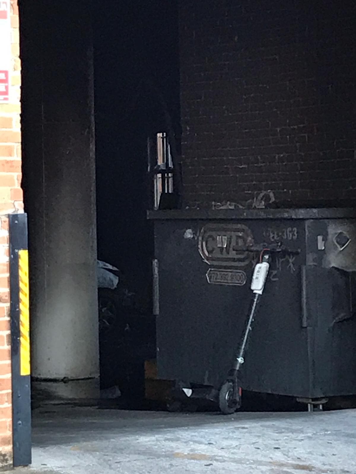 Quemadas y con tonalidades oscuras, así quedaron varios lugares que alcanzaron a verse afectados por el incendio.