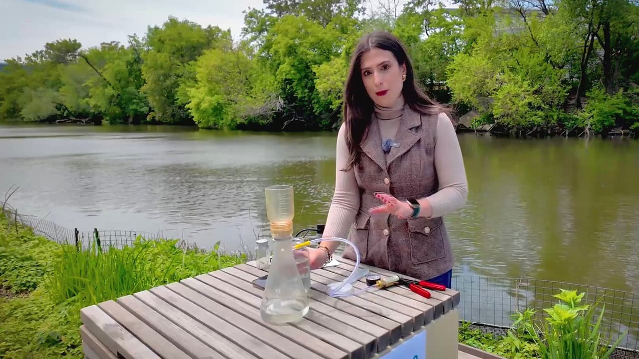 Microplásticos en Illinois: estudio detecta contaminación en ríos y el Lago Michigan