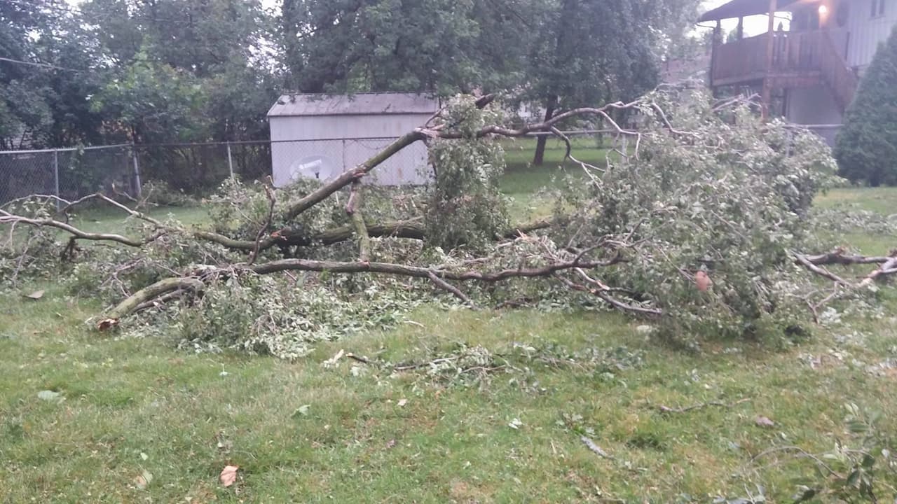 Usuarios en los condados de Elgin, Rockford y Mount Prospect han sido los más afectados.