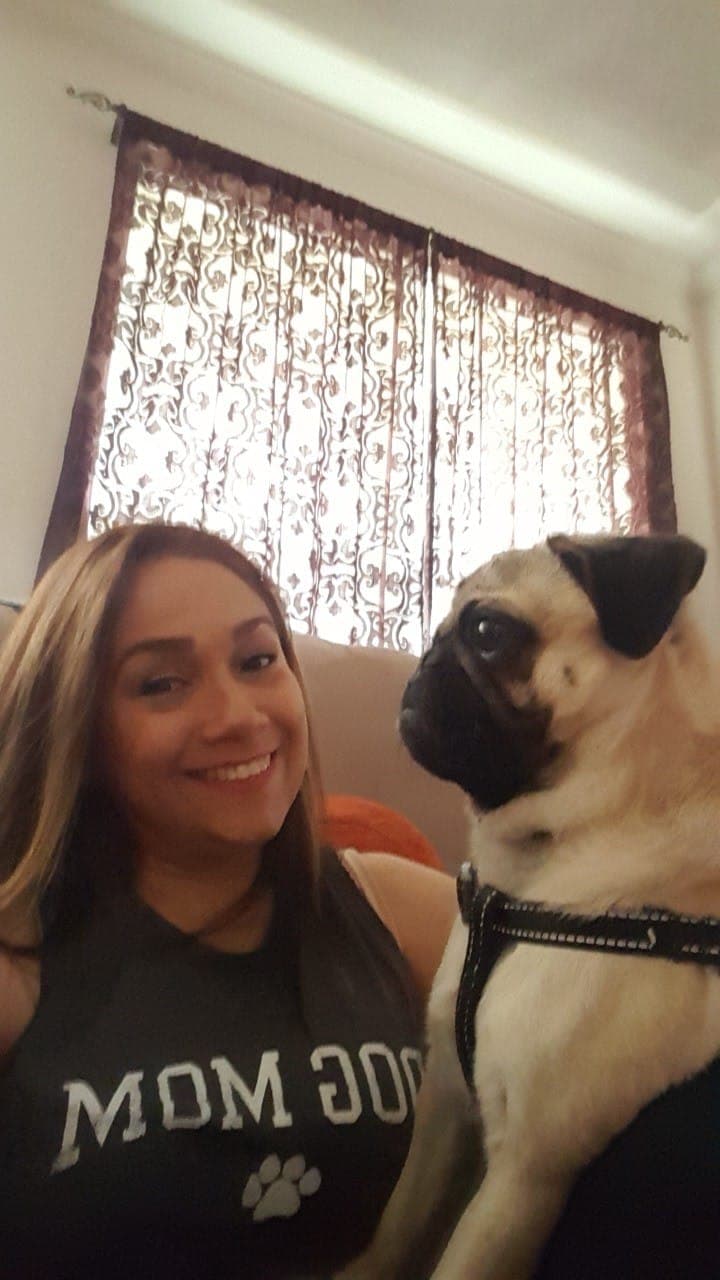 Gracias por celebrar a quienes tenemos perrhijos de 4 patas 😍Yo Amo al mío porque llegó a mi vida en tiempo de mucha depresión y me ayudó muchísimo" dice Elizabeth Cervantes.