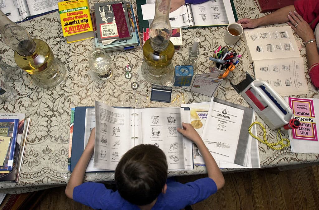 Temor a ICE y estrés escolar impulsan el auge del homeschooling entre inmigrantes 
